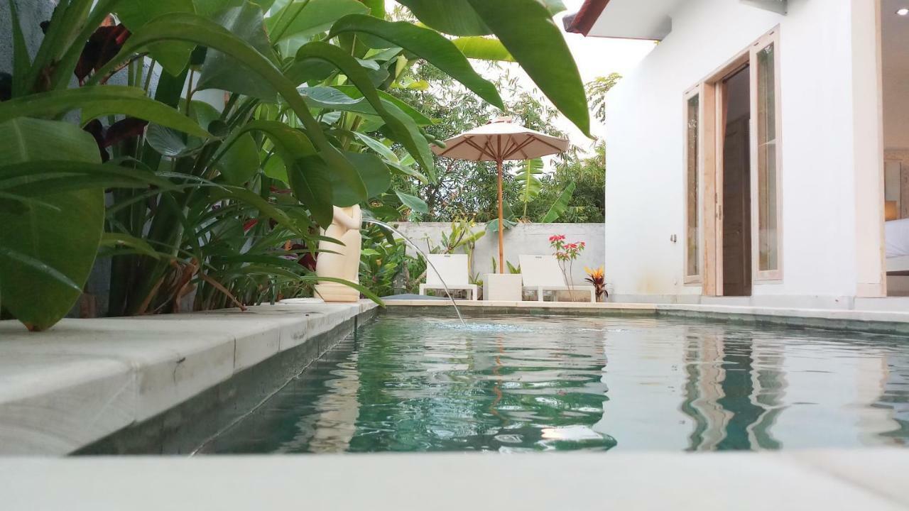 Villa Ummangur 2 Bedroom Private Villa Near Lovina Banjar  Екстер'єр фото